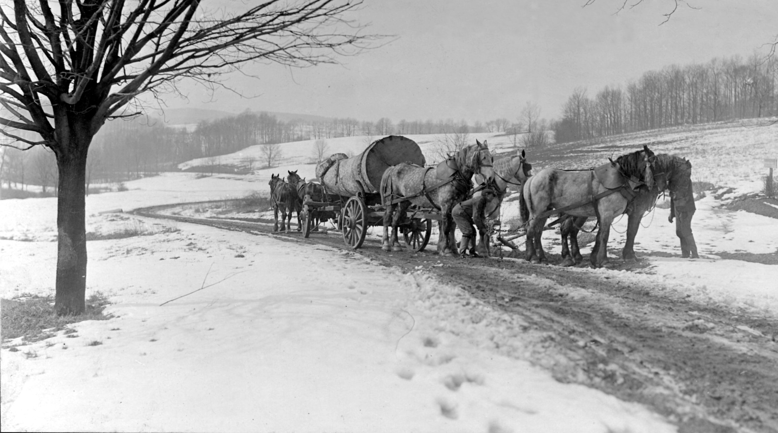 Tracing the Path of Progress: A Historic Journey Along Pennypack Creek 