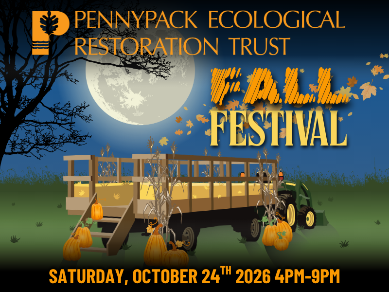 2026 Fall Fest Blast Panel